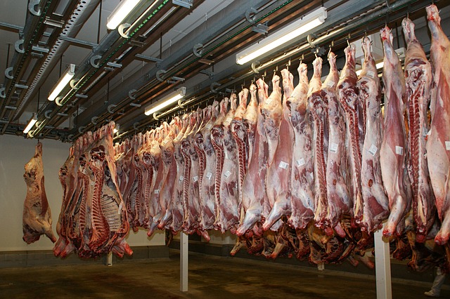 maso na jatkách čekající na zpracování